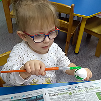 Przedszkole Niepubliczne Wiolinka
