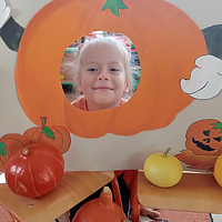 Przedszkole Niepubliczne Wiolinka
