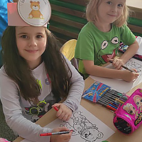 Przedszkole Niepubliczne Wiolinka