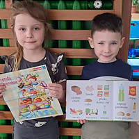 Przedszkole Niepubliczne Wiolinka