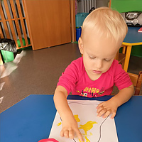 Przedszkole Niepubliczne Wiolinka