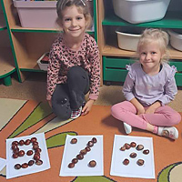 Przedszkole Niepubliczne Wiolinka