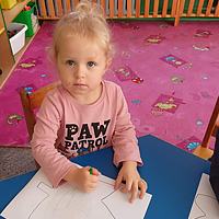 Przedszkole Niepubliczne Wiolinka