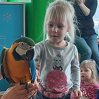 Przedszkole Niepubliczne Wiolinka