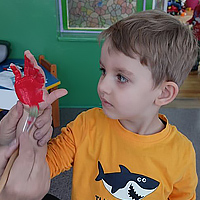 Przedszkole Niepubliczne Wiolinka