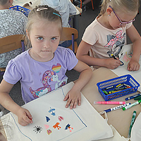 Przedszkole Niepubliczne Wiolinka