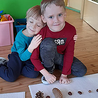 Przedszkole Niepubliczne Wiolinka